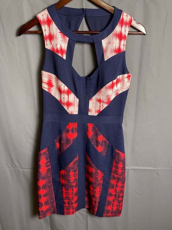 BCBGMaxAzria Dresses & Skirts - BCBGMaxAzria Sleeveless Cutout Patterned Bodycon Dress size 2